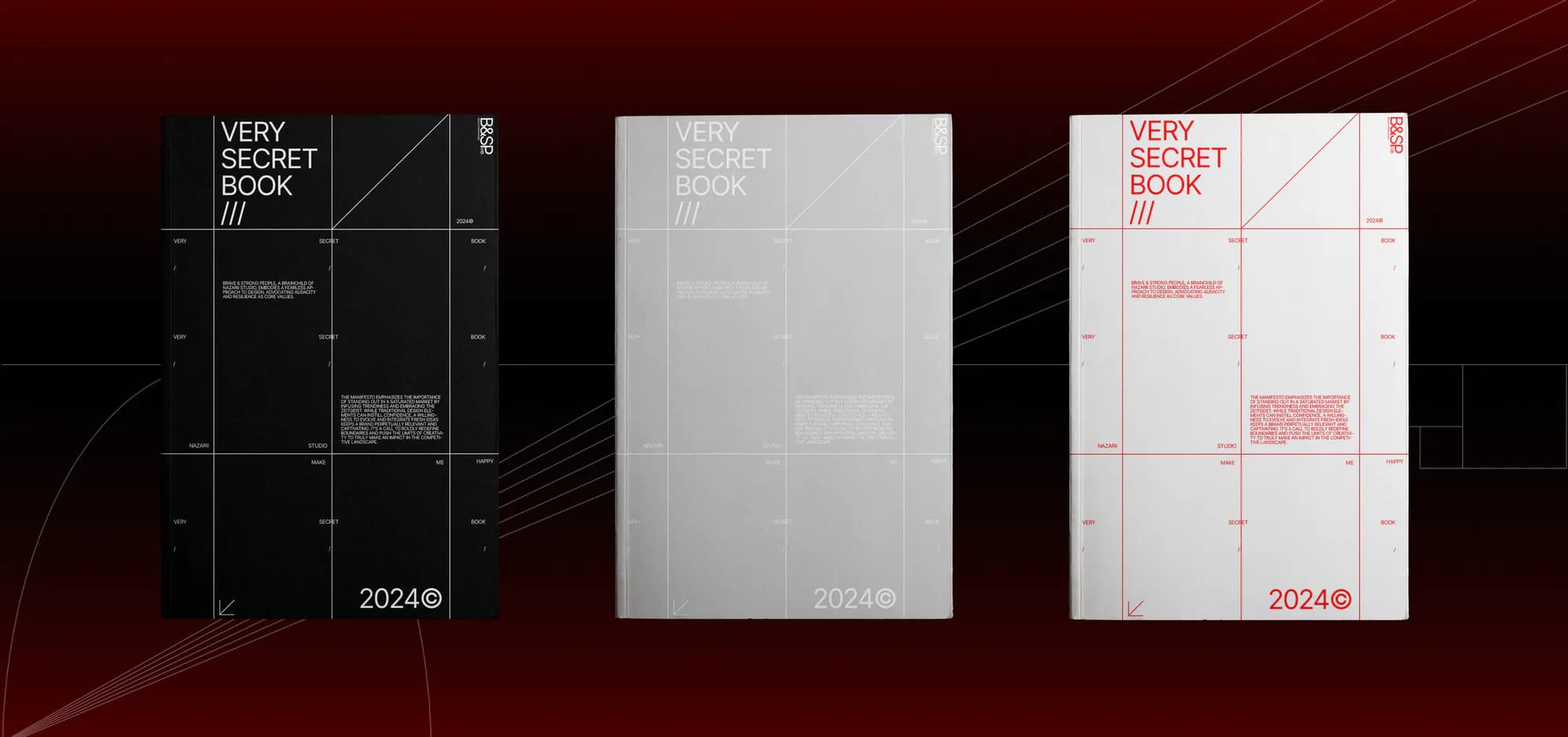 B&SP project preview